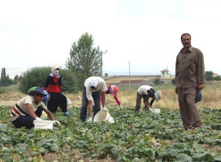 degisen-hava-sartlari-mevsimlik-iscileri-de-vurdu-844940_b.jpg